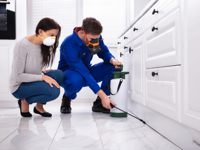 About FixFusion - pest control experts in Fayetteville